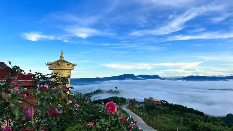 Open Tours - ABC Vietnam Cars and Tours