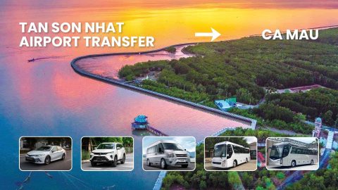 tan-son-nhat-airport-transfer-ca-mau