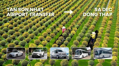 tan-son-nhat-airport-transfer-sa-dec-dong-thap